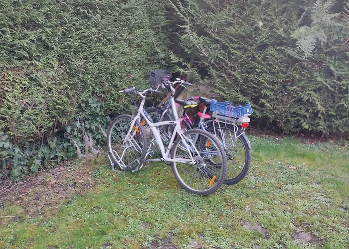 Bleue Des Hortillonnages *